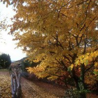 Cascina Piano Autunno